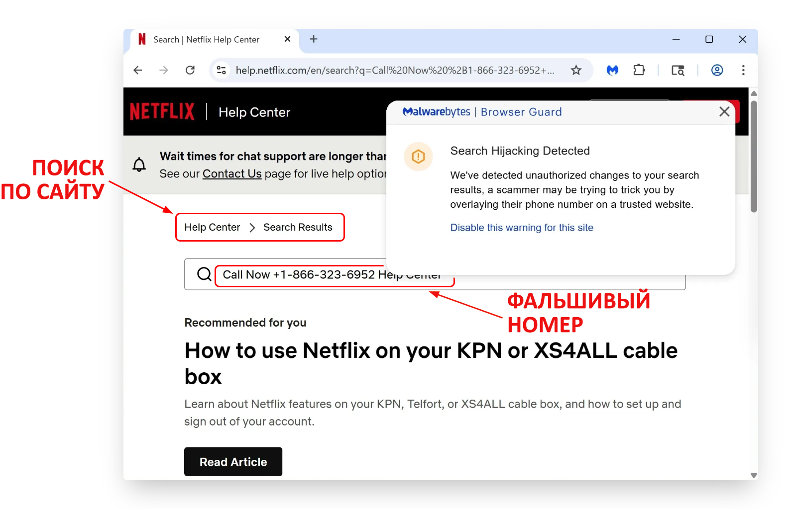 поиск с фальшивым номером на сайте Netflix